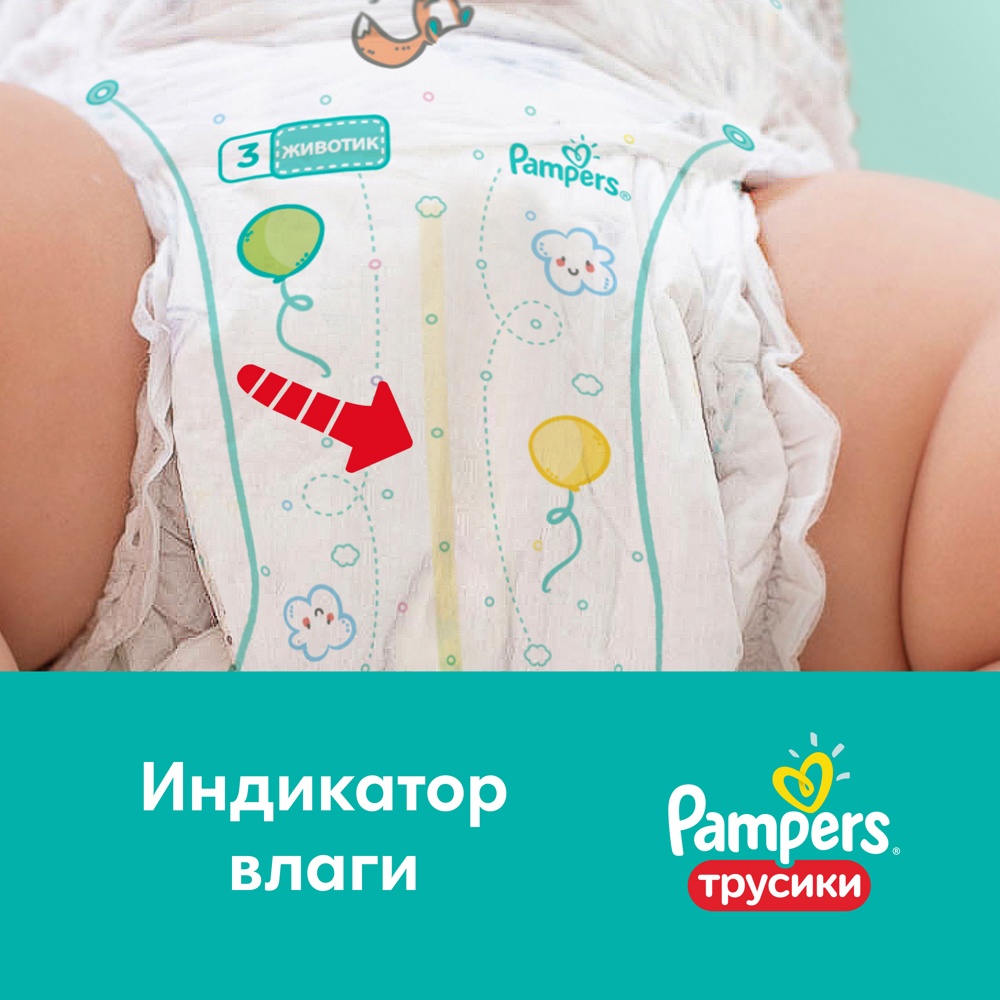 Pampers PANTS  4  Maxi  9-15   (52 ) -,   { 72869 } 