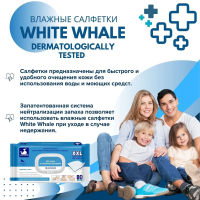      White Whale   -   80  ( 23*25 ) ,  { 00169 } 