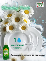 MORNING FRESH   ORIGINAL       675 , { 10816 } 